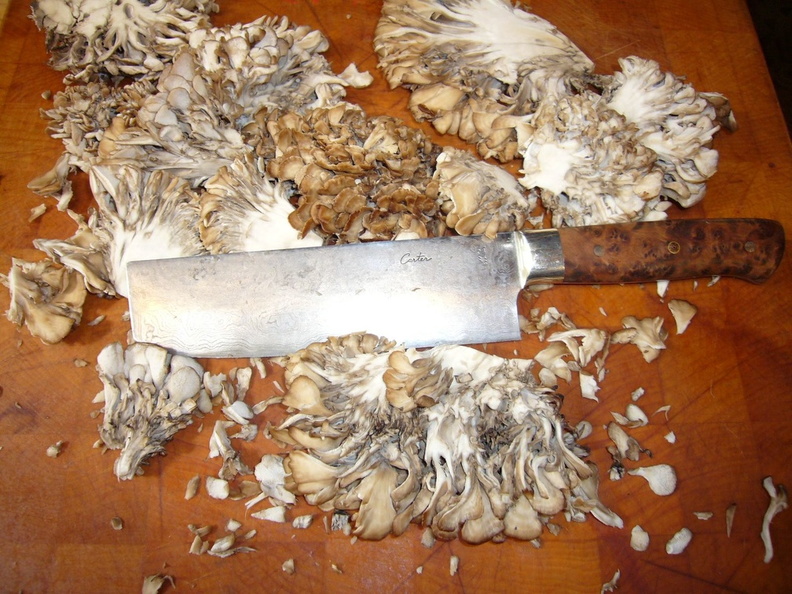 Nakiri with mushrooms